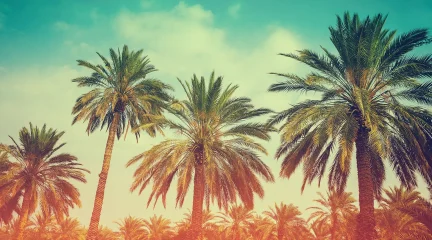 Test post 2